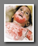 [Click to enlarge image]