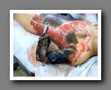 [Click to enlarge image]