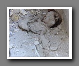 [Click to enlarge image]