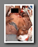 [Click to enlarge image]