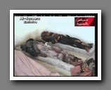 [Click to enlarge image]