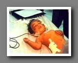 [Click to enlarge image]