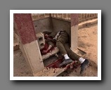 [Click to enlarge image]