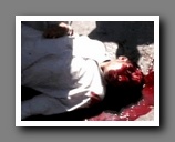 [Click to enlarge image]